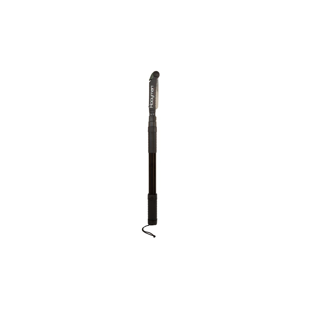 Extendable Pole Saw