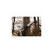 Megabite Hand Saws